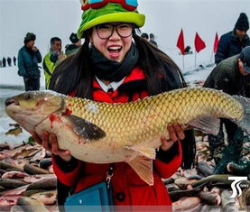 水產(chǎn)養(yǎng)殖系統(tǒng),自動(dòng)化養(yǎng)殖,解決水產(chǎn)養(yǎng)殖的各種問題