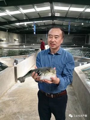 想要魚養得好,原來選個燈都那么重要