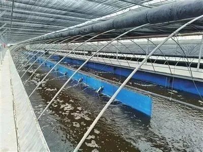 &ldquo;科技小院&rdquo;創新科技幫扶三農新模式 服務銀川&ldquo;六特&rdquo;產業高質量發展