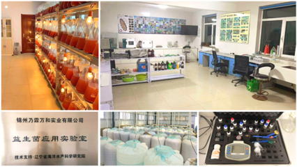 歸國(guó)學(xué)子的一往情&ldquo;參&rdquo;--記歸國(guó)學(xué)子郝景航和他養(yǎng)殖海參的創(chuàng)業(yè)故事