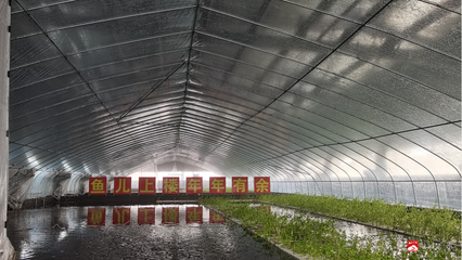 &ldquo;魚兒上樓、南魚北養(yǎng)&rdquo;成為現(xiàn)實(shí)--湖北聚源之漁生物工程技術(shù)引進(jìn)農(nóng)業(yè)工業(yè)化生產(chǎn)模式