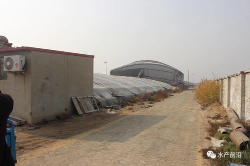 飼料營(yíng)養(yǎng)如何堪比活餌 工廠(chǎng)化排水如何環(huán)保 高投入下是否意味著高收益