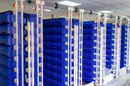 梭子蟹住進(jìn) 蛻殼公寓 ,新型水產(chǎn)養(yǎng)殖正在興起