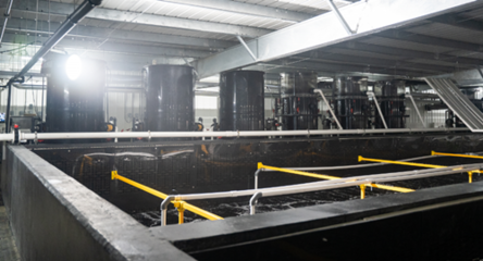 全球人均每年消費(fèi)41斤魚類:漁業(yè)如何可持續(xù)發(fā)展?看海璟水產(chǎn)如何做