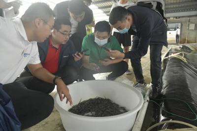 &ldquo;行業(yè)黑馬&rdquo;馳騁而來!歡迎鍋圈食匯蒞臨國聯(lián)水產(chǎn)考察調(diào)研