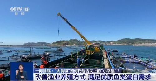 大食物 如何托起舌尖上 小幸福 水產養殖產業這樣發展