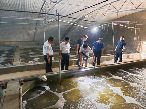 東營市人民政府 部門動態(tài) 市海洋發(fā)展和漁業(yè)局局長荊向輝帶隊開展 進(jìn)漁村 入漁港 上漁船 訪漁民 活動