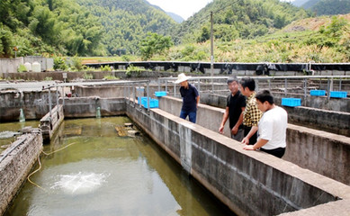 現(xiàn)代養(yǎng)殖人都用這個方法驅(qū)趕&ldquo;水質(zhì)惡化&rdquo;這只&ldquo;攔路虎&rdquo;!