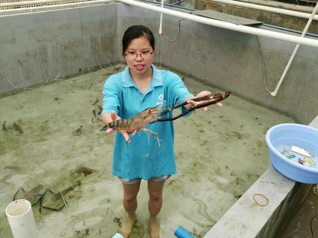 廣東18人上榜!首屆&ldquo;全國(guó)鄉(xiāng)村振興青年先鋒&rdquo;評(píng)選結(jié)果揭曉