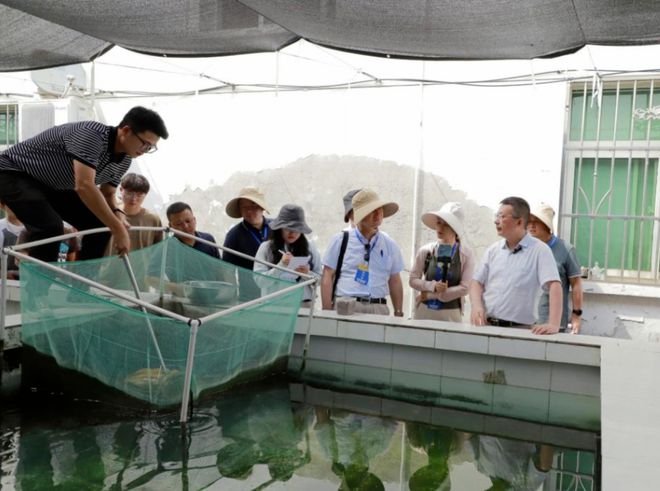 走出楊凌看示范 | 水產博士&ldquo;鱘&rdquo;富路