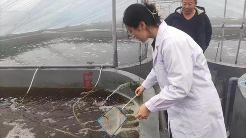 研發(fā)新型水產(chǎn)養(yǎng)殖殺菌劑,濟(jì)南大學(xué)團(tuán)隊(duì)獲 挑戰(zhàn)杯 金獎(jiǎng)