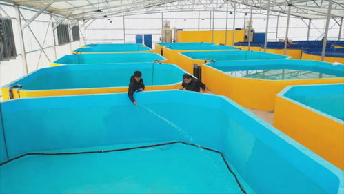 從沙漠鹽堿到 魚(yú)蝦滿(mǎn)倉(cāng) 和田縣新一年備產(chǎn)正酣