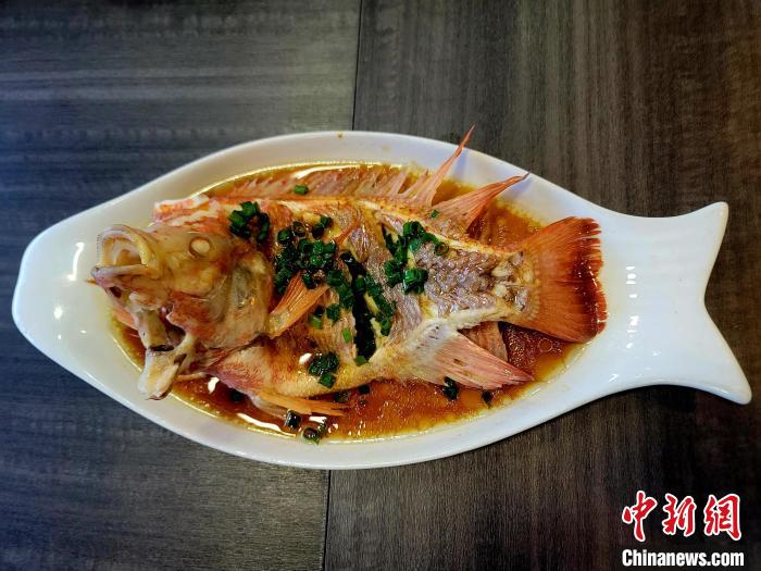 海口探索&ldquo;咸淡水紅鯛魚(yú)&rdquo;養(yǎng)殖新賽道 市場(chǎng)供不應(yīng)求