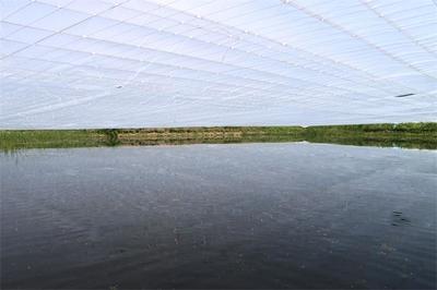 伊通滿(mǎn)族自治縣人民政府