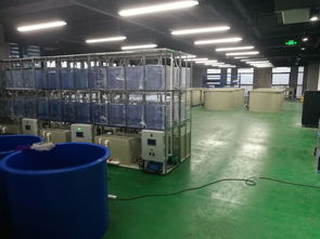 科創(chuàng)組團(tuán), 工業(yè)化淡水水產(chǎn)養(yǎng)殖研發(fā)中心 矚目而成