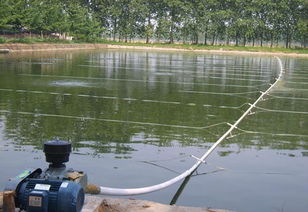 您還在為養(yǎng)殖過(guò)程中的氨氮超標(biāo)頭疼不已嗎