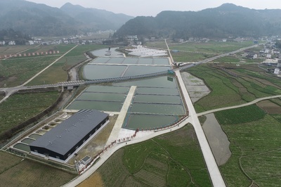 創(chuàng)展現(xiàn)代漁業(yè)產(chǎn)業(yè)園,推動(dòng)漁業(yè)發(fā)展轉(zhuǎn)型升級(jí),助力鄉(xiāng)村全面振興