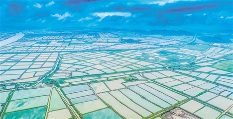 我市又一項省重點(diǎn)領(lǐng)域研發(fā)計劃項目落地實(shí)施 助推水產(chǎn)養(yǎng)殖朝工業(yè)化方向發(fā)展