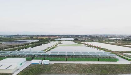 犀利!肇慶這兩個地方入選省級名單~