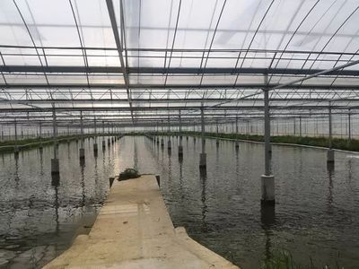 這個&ldquo;85后&rdquo;退役軍人在三星鎮(zhèn)把小龍蝦做成了大生意?你認(rèn)識他嗎?