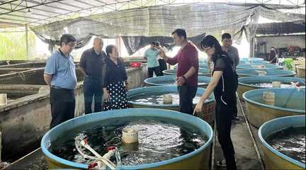 廣西水產(chǎn)科學研究院開展水產(chǎn)養(yǎng)殖技術(shù)及水產(chǎn)品加工技術(shù)指導