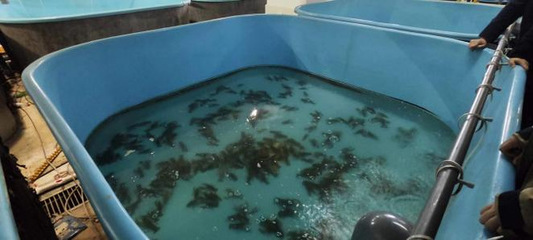 【中國日報網(wǎng)】新征程再奮斗,新疆吉木乃調(diào)研學習拓視野