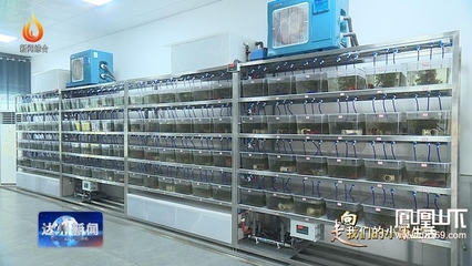 總產(chǎn)值65億元!達州已認定現(xiàn)代農(nóng)業(yè)園區(qū)42個,總面積59.7萬畝