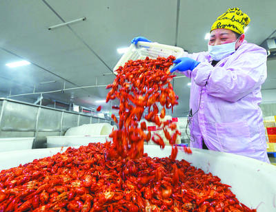 日收購(gòu)破百噸!巢湖小龍蝦出口熱起來(lái)