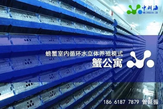 4月，這些先進的養殖設備和技術將集體亮相廈門 | ‘金磚’水產盛會邀請函