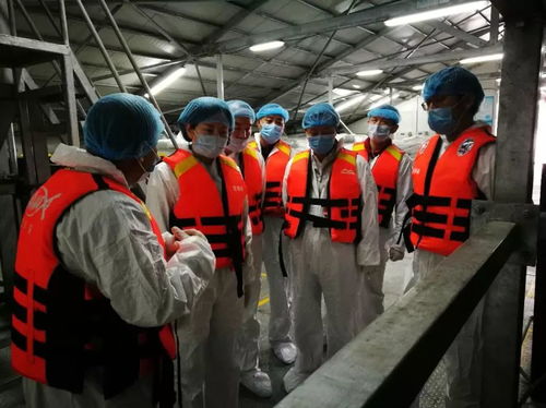 青海省冷水魚養殖質量安全與技術發展調研紀實