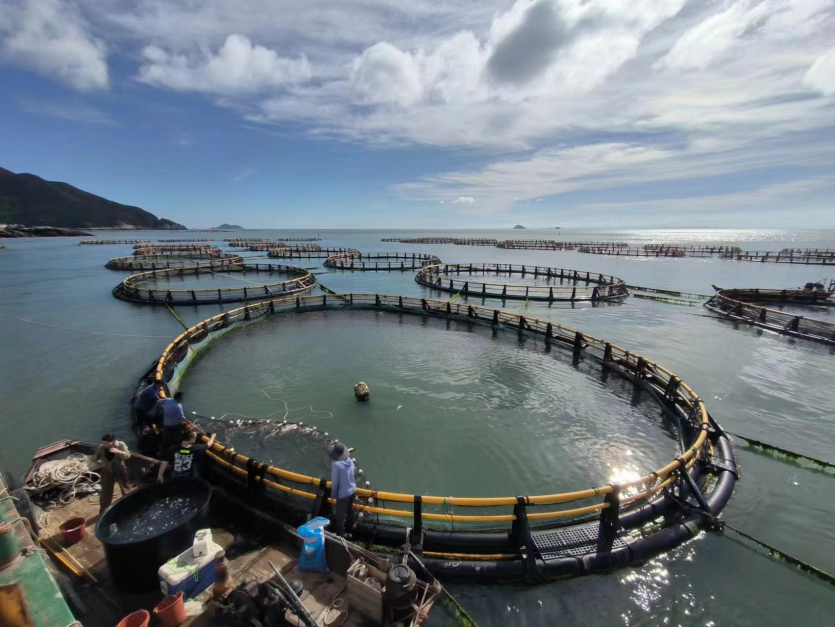 全省示范！溫州3家農家樂休閑觀光服務獲殊榮